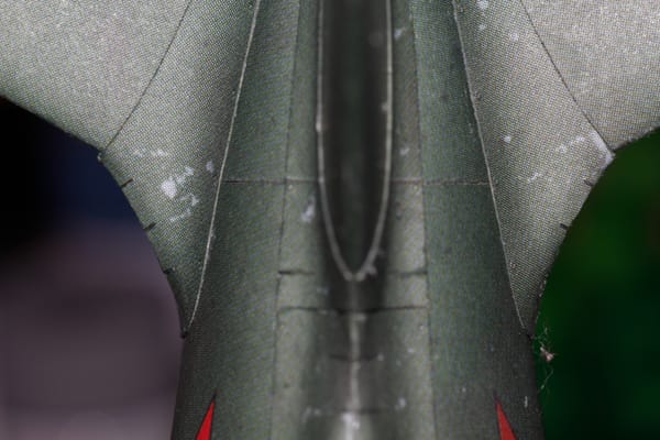 Интенсивное зализывание